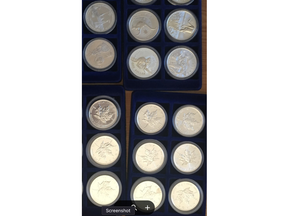 Assorted Silver Ounces 999